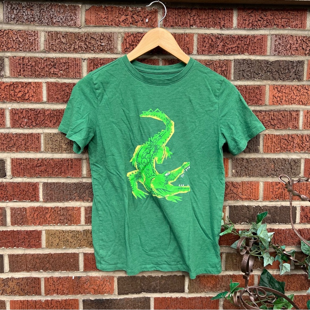 Cat & Jack Boy’s Kid’s Marled Green Alligator Graphic Long Sleeve Tee Shirt